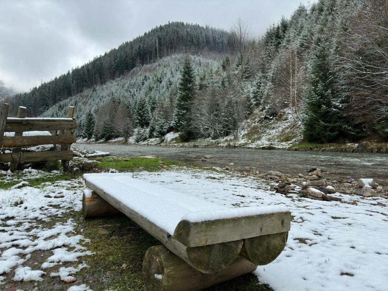 Будинок Художника Synevyrsʼka Polyana Exterior foto