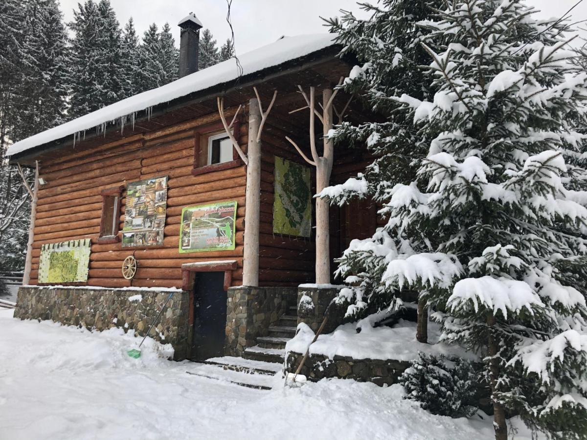 Будинок Художника Synevyrsʼka Polyana Exterior foto